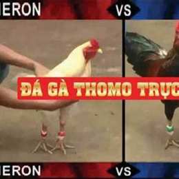 da ga thommo c1