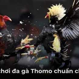 đa ga thomo 12 3