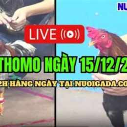 da ga thomo 15/5