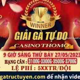 đá gà thomo 27 5 2023