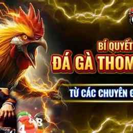 da ga thomo 5 5 2023