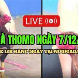 đa ga thomo 7 7 2023