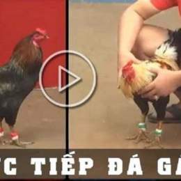 da ga thomo 8/12