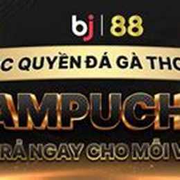 đá gà thomo 888 trực tiếp
