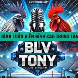 đá gà thomo binh luan vien