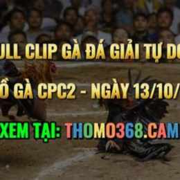 da ga thomo c2 13 10