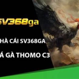 đá gà thomo c3 19 9