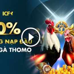 đá gà thomo c3 27 5 2024