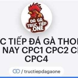 đá gà thomo cpc2 hôm qua