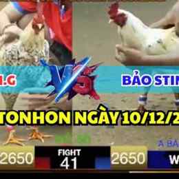 đá gà thomo trận 41 c1