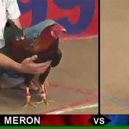 đá gà thomo trực tiếp số 4