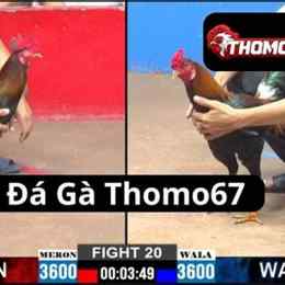 da ga thomo67 https://dagathomo67.net/