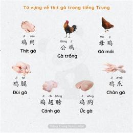 đá gà tiếng trung là gì