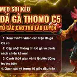 đá gà trận 29 c5 hôm qua