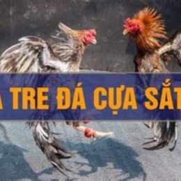 da ga tre cua sat cup c1
