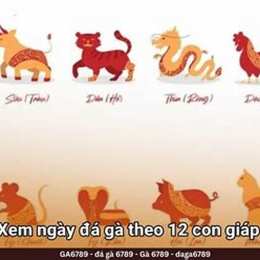 đá gà trên mạng ngày hôm nay