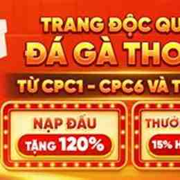 đá gà trên mạng thomo trực tiếp