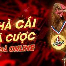 da ga truc tiep 3 6 2023