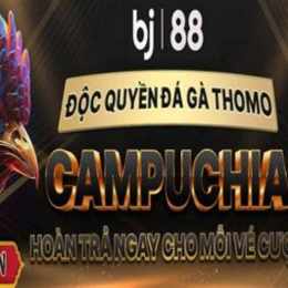 đá gà trực tiếp 88b.com