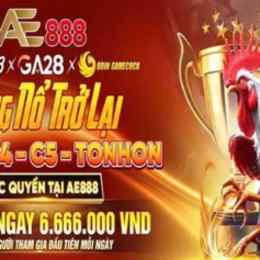 đá gà trực tiếp ae888 land