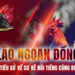 đá gà trực tiếp bảo sting và hoàng phi hải