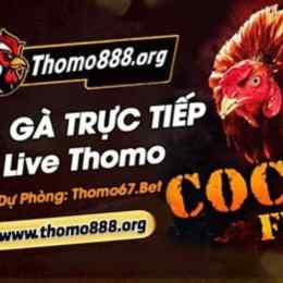 đá gà trực tiếp bình luận c3