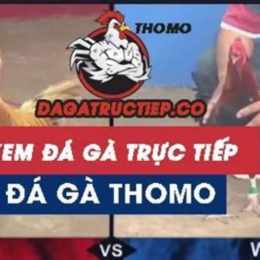 da ga truc tiep c3 8 9