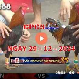 đá gà trực tiếp c5 trận 29 ngày 25 8