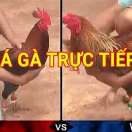 đa ga truc tiep camphuchia