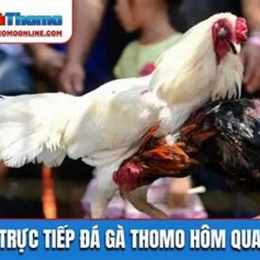 da ga truc tiep hom na