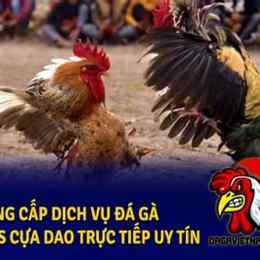 đá gà trực tiếp philippines niko88