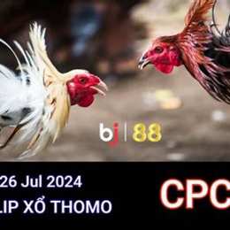 đá gà trực tiếp thomo ngày 26 tháng 7