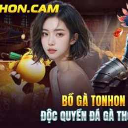 đá gà trực tiếp tonhon phát lại