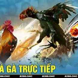 da ga truc tip c4