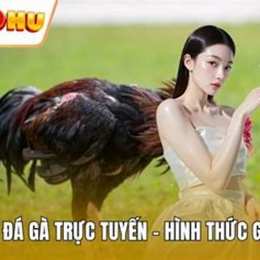 da ga truc tuyen 4k