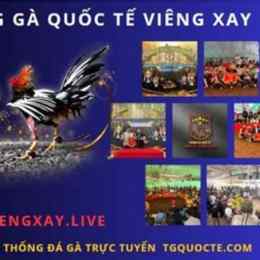 đá gà viengxay trực tiếp