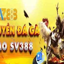 đá gà w88