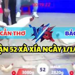 đá gà xà bóng