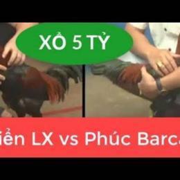 đá gà xổ 5 tỷ