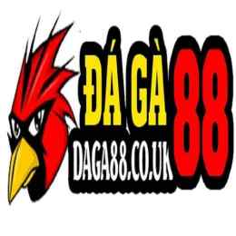 daga88 đá gà 88 trực tiếp thomo hôm nay