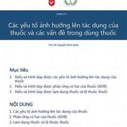 dã¢m thuá»· lã gã¬