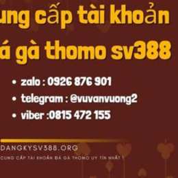 đăng ký đá gà thomo 999