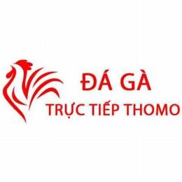 đăng ký đá gà thomo trực tiếp