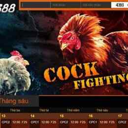 gà đá 388