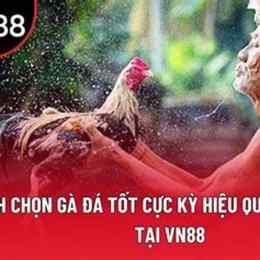 ga da cho tot can tho