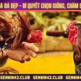 ga da dep lai