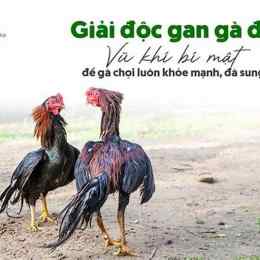 ga da giai 27 5