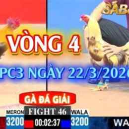 gà đá giải c3 ngày 12 tháng 1