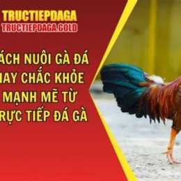 ga da hay dep