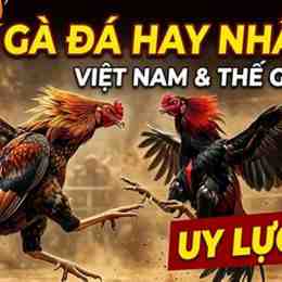 ga da hay nhat viet nam